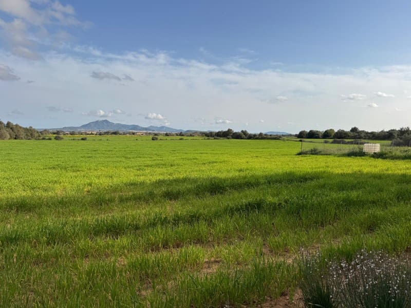 Building Plot for sale in Felanitx - € 380,000 (Ref: 9690485)