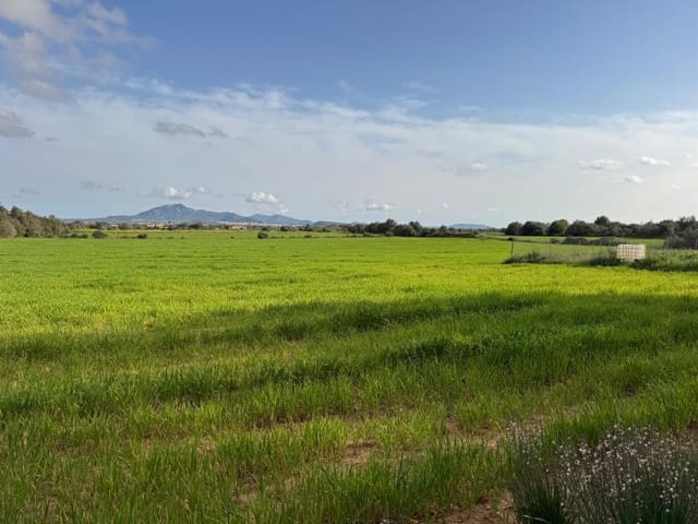 Byggegrund til salg i Felanitx - € 380.000 (Ref: 9690485)