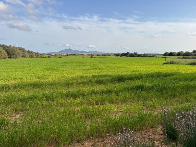 Building Plot for sale in Felanitx - € 380,000 (Ref: 9690485)