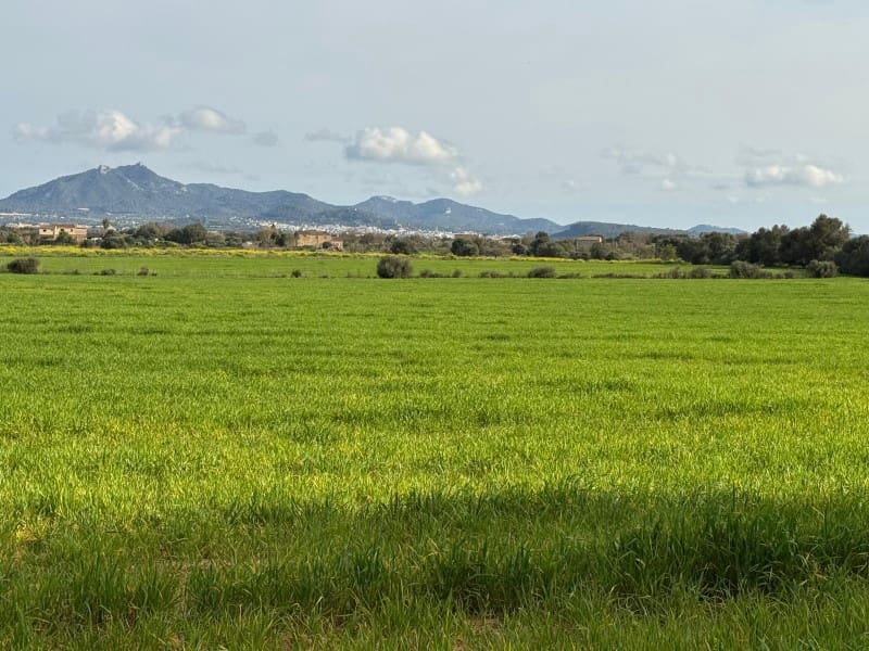 Building Plot for sale in Felanitx - € 380,000 (Ref: 9690485)