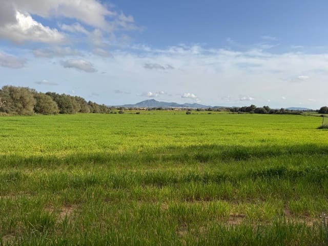 Byggegrund til salg i Felanitx - € 380.000 (Ref: 9690485)