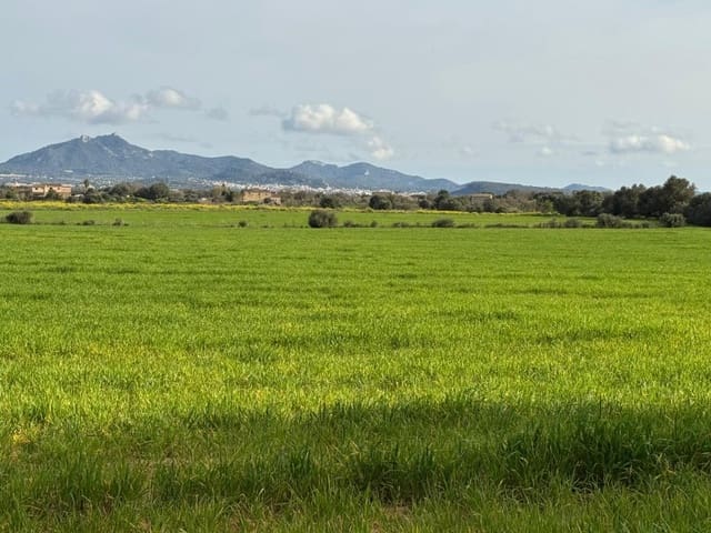 Byggegrund til salg i Felanitx - € 380.000 (Ref: 9690485)