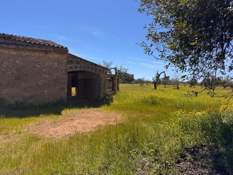 Area Edificabile in vendita in Algaida - 320.000 € (Rif: 9751910)