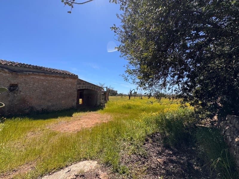 Area Edificabile in vendita in Algaida - 320.000 € (Rif: 9751910)