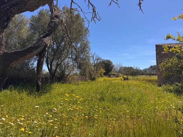 Area Edificabile in vendita in Algaida - 320.000 € (Rif: 9751910)