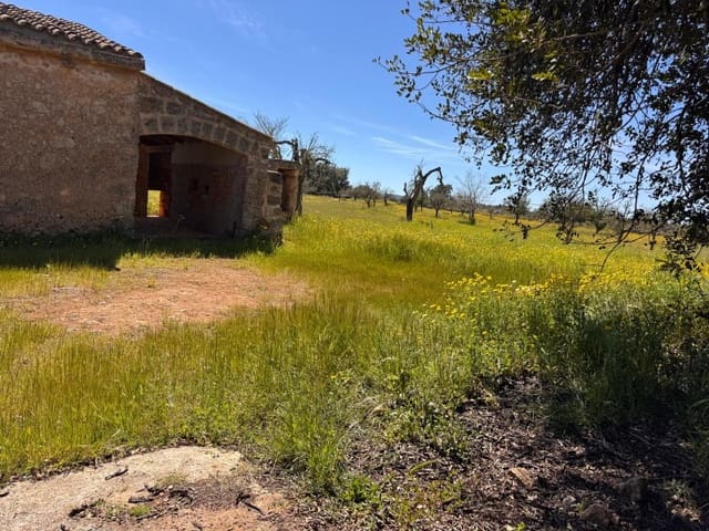 Area Edificabile in vendita in Algaida - 320.000 € (Rif: 9751910)