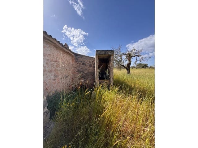 Terre non Aménagée à vendre à Algaida - 320 000 € (Ref: 9751910)