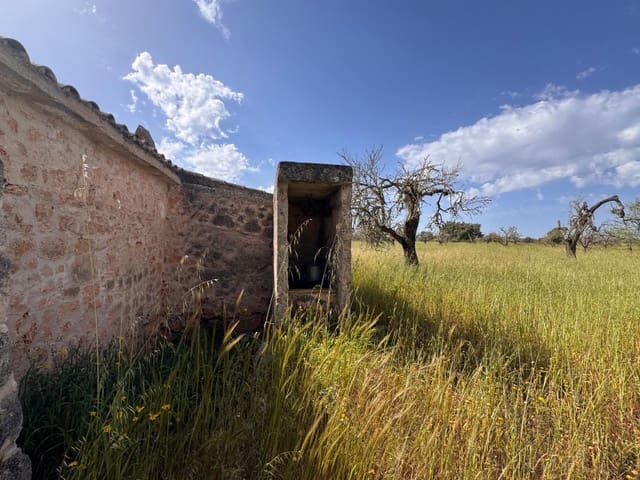 Terre non Aménagée à vendre à Algaida - 320 000 € (Ref: 9751910)