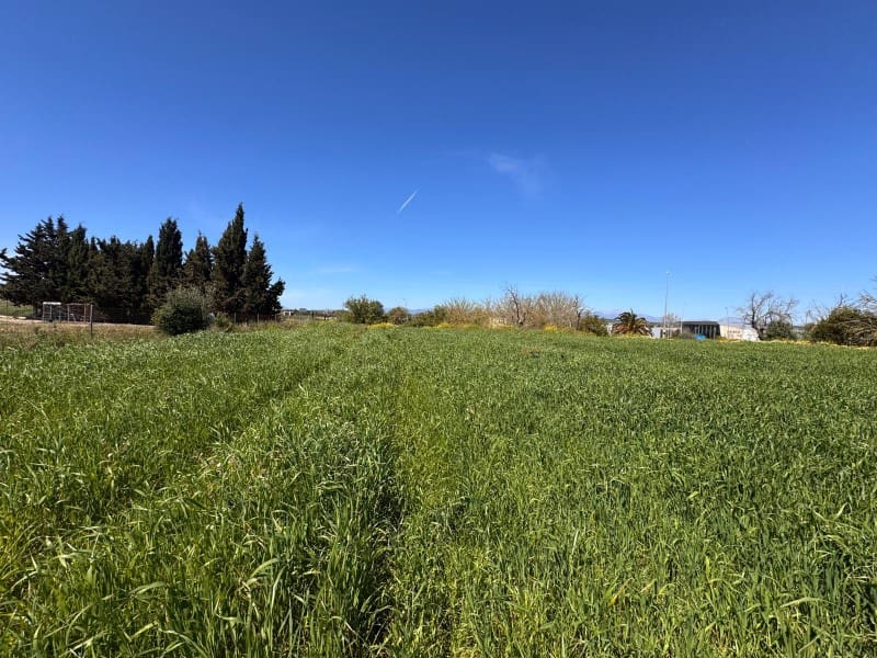 Tontti myytävänä paikassa Montuiri - 195 000 € (Ref: 9751911)