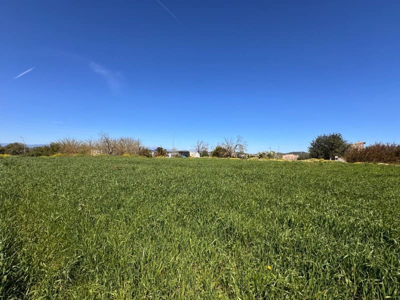 Tontti myytävänä paikassa Montuiri - 195 000 € (Ref: 9751911)