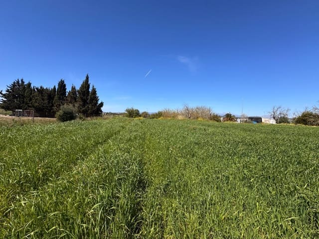 Area Edificabile in vendita in Montuïri - 195.000 € (Rif: 9751911)