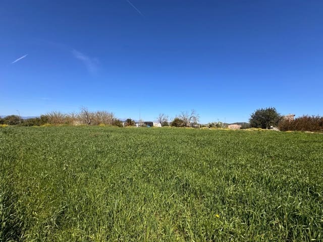 Area Edificabile in vendita in Montuïri - 195.000 € (Rif: 9751911)