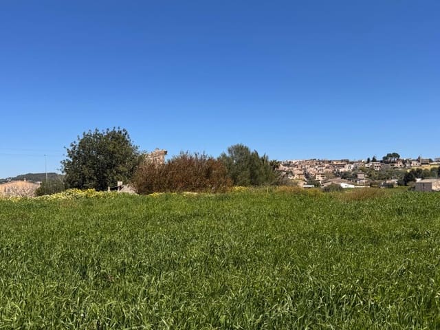 Area Edificabile in vendita in Montuïri - 195.000 € (Rif: 9751911)