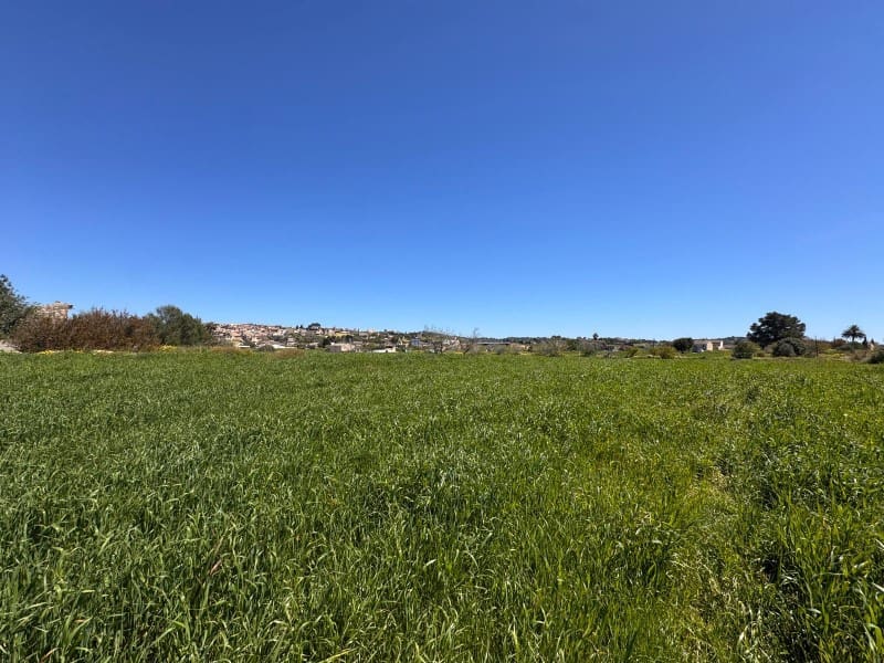 Tontti myytävänä paikassa Montuiri - 195 000 € (Ref: 9751911)