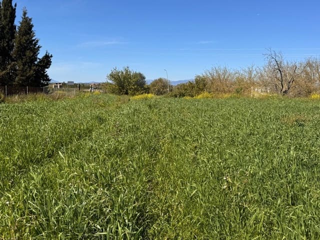 Area Edificabile in vendita in Montuïri - 195.000 € (Rif: 9751911)