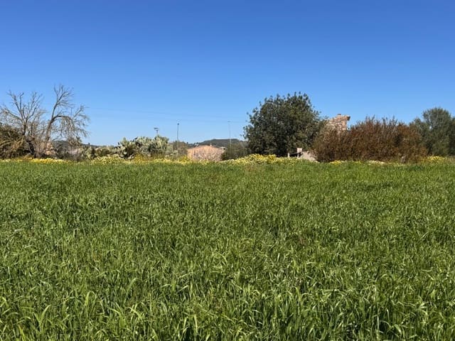 Area Edificabile in vendita in Montuïri - 195.000 € (Rif: 9751911)