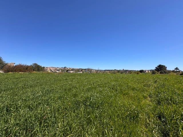 Area Edificabile in vendita in Montuïri - 195.000 € (Rif: 9751911)