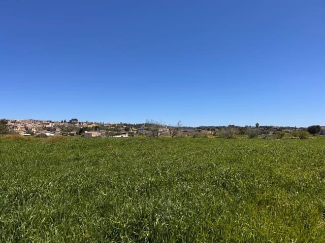Area Edificabile in vendita in Montuïri - 195.000 € (Rif: 9751911)