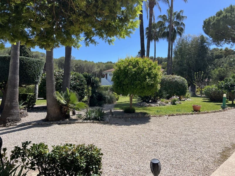 Apartamento de 2 habitaciones en Peguera / Paguera en alquiler - 1.500 € (Ref: 9780445)