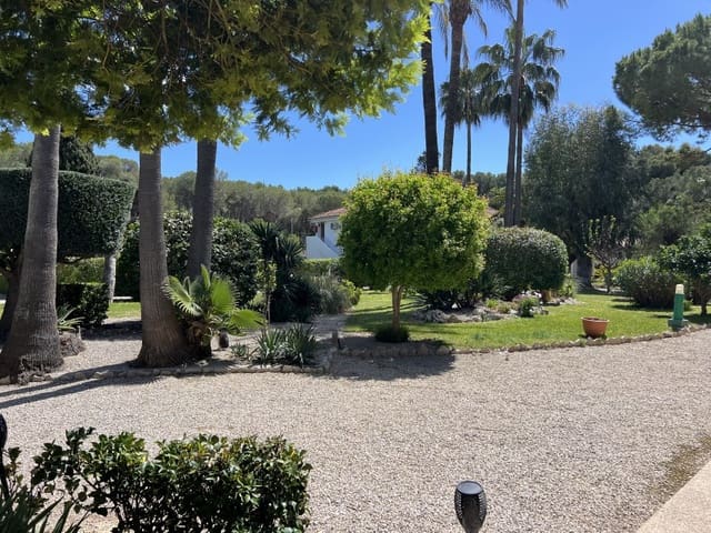 Apartamento de 2 habitaciones en Peguera / Paguera, Calvià en alquiler - 1.500 € (Ref: 9780445)