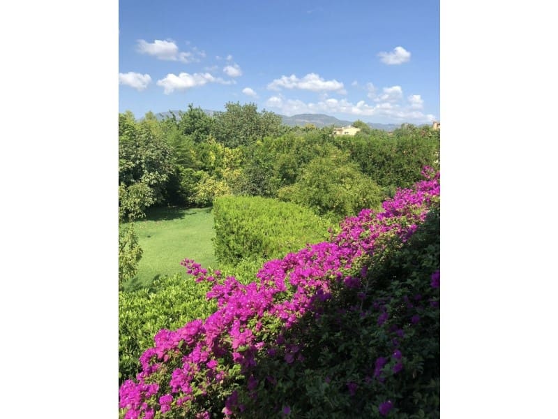 4 soverom Villa til leie i Sa Cabaneta / La Cabaneta med svømmebasseng garasje - € 5 000 (Ref: 9804214)