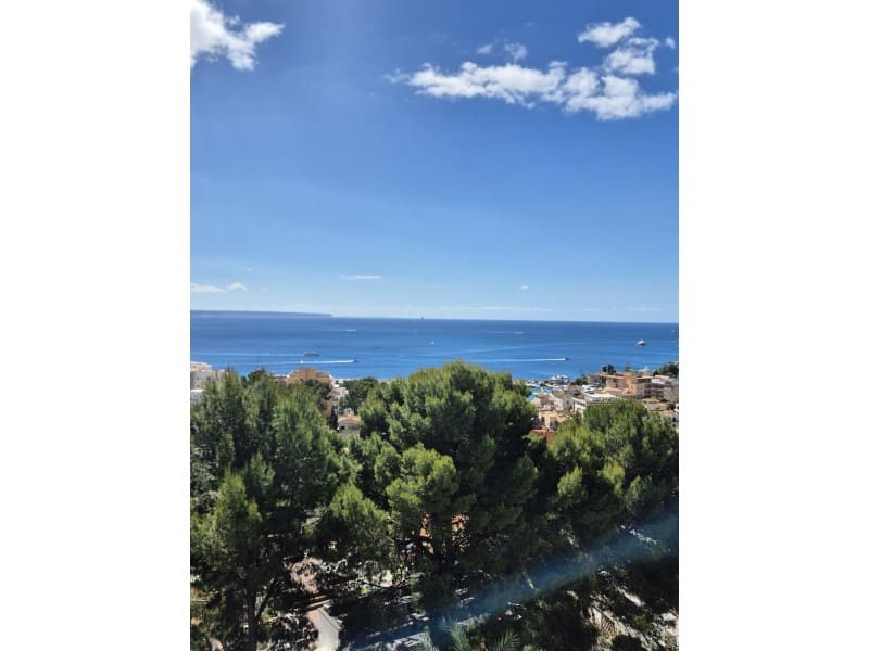 1 sovrum Lägenhet att hyra i San Agustin / Sant Agusti med pool - 2 000 € (Ref: 9906968)