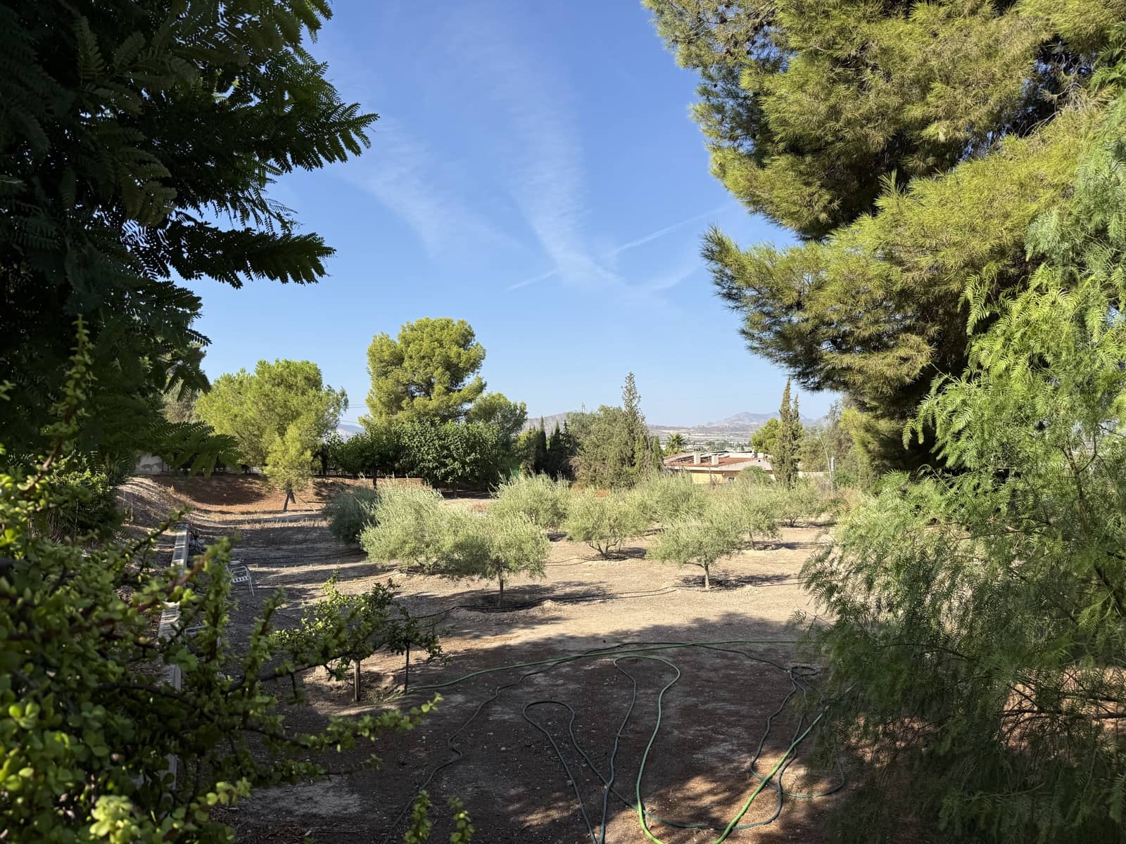 4 chambre Finca/Maison de Campagne à vendre à Novelda avec piscine garage - 590 000 € (Ref: 10032222)