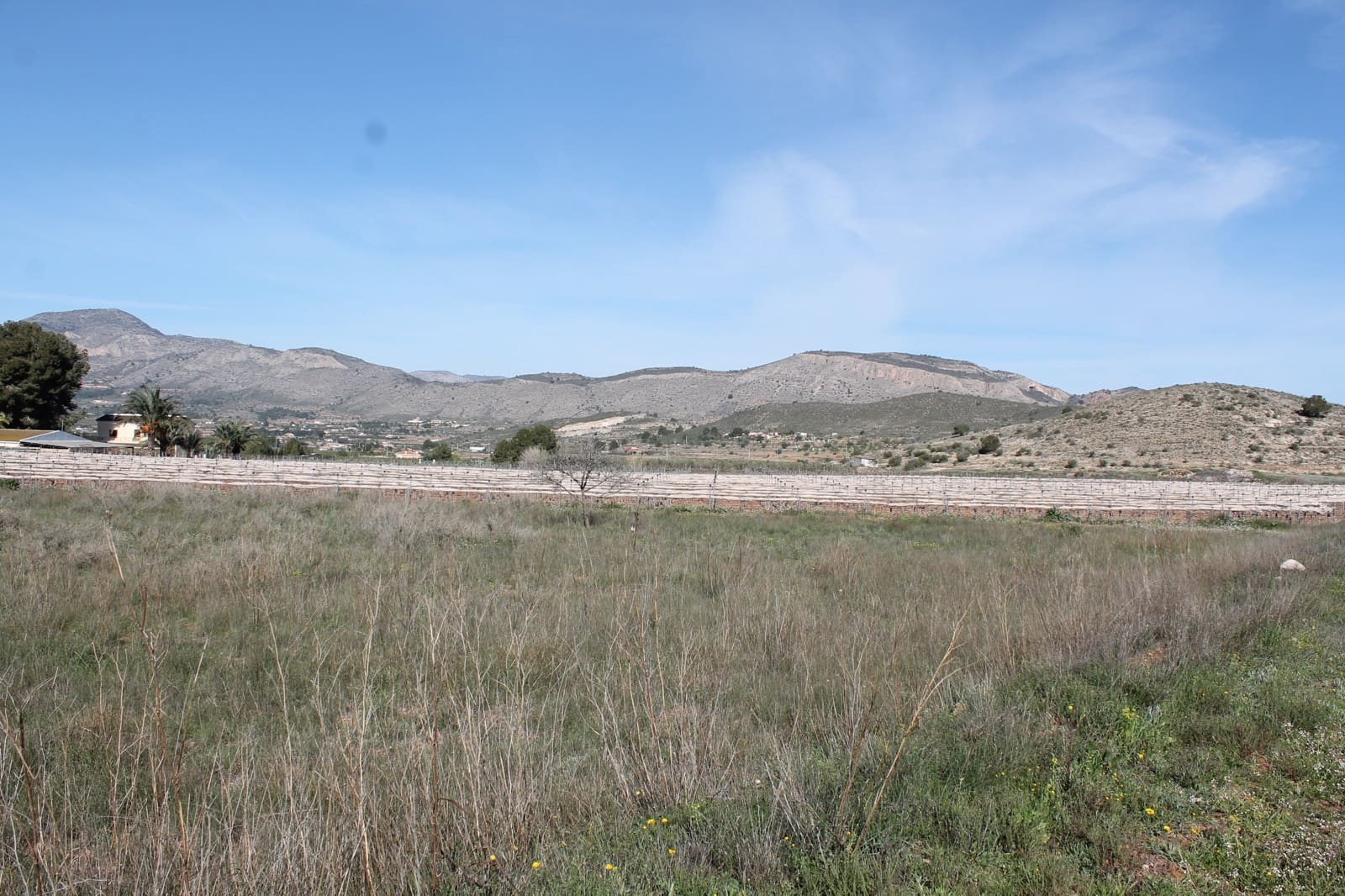 Undeveloped Land for sale in Hondon de las Nieves - € 13,000 (Ref: 9733944)
