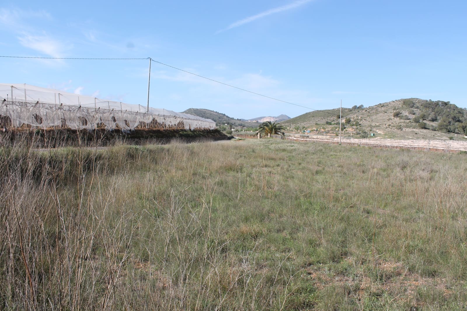 Undeveloped Land for sale in Hondon de las Nieves - € 13,000 (Ref: 9733944)