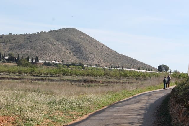 Terreno Não Urbanizado para venda em Hondón de las Nieves - 13 000 € (Ref: 9733944)