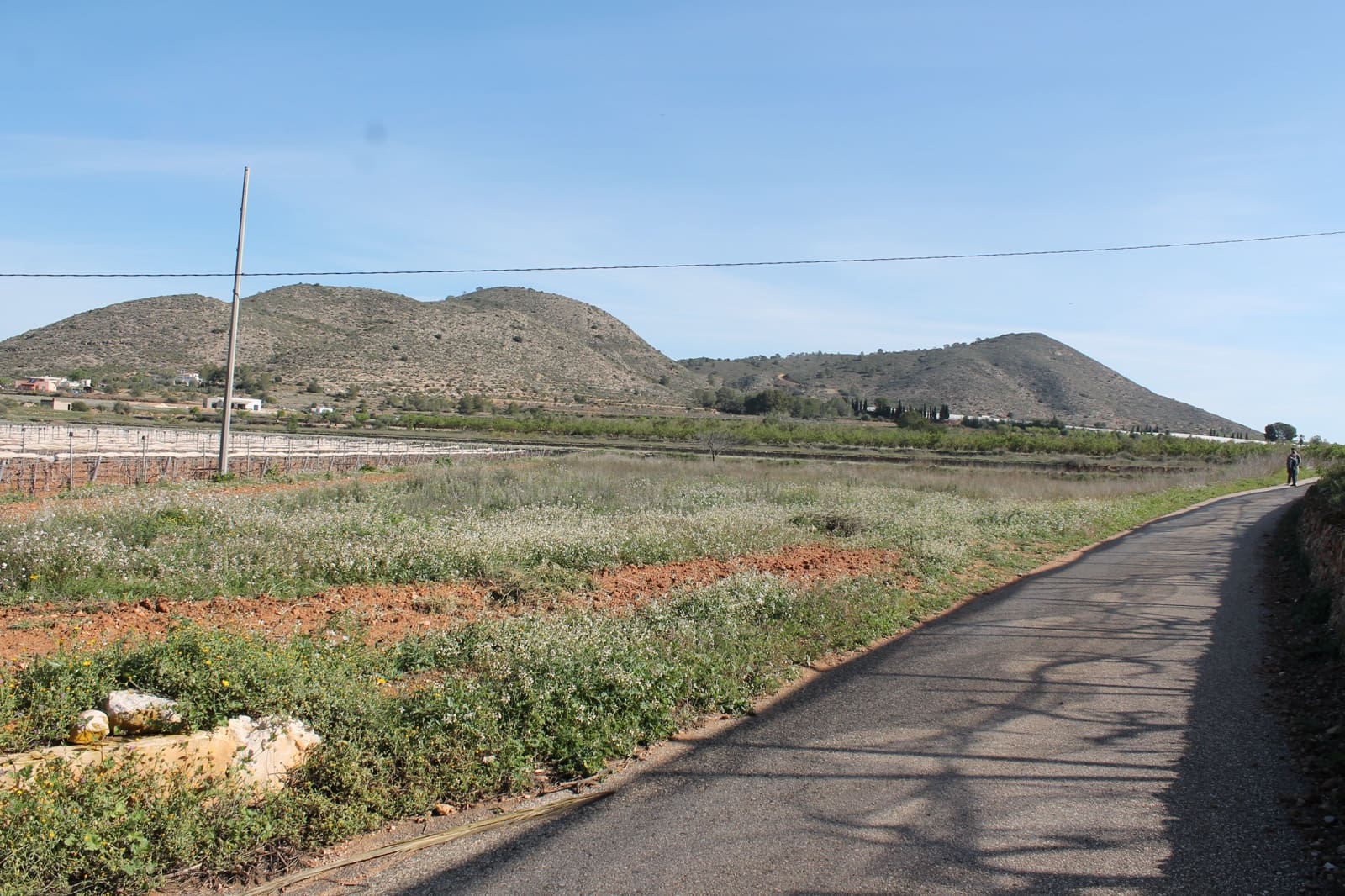 Undeveloped Land for sale in Hondon de las Nieves - € 13,000 (Ref: 9733944)
