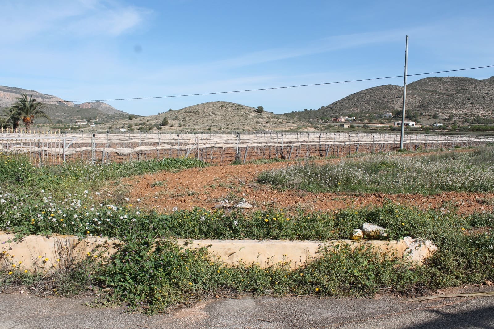 Undeveloped Land for sale in Hondon de las Nieves - € 13,000 (Ref: 9733944)