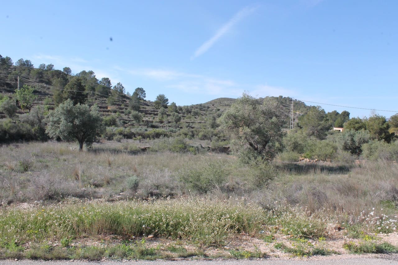 Undeveloped Land for sale in Hondon de las Nieves - € 28,000 (Ref: 9735888)