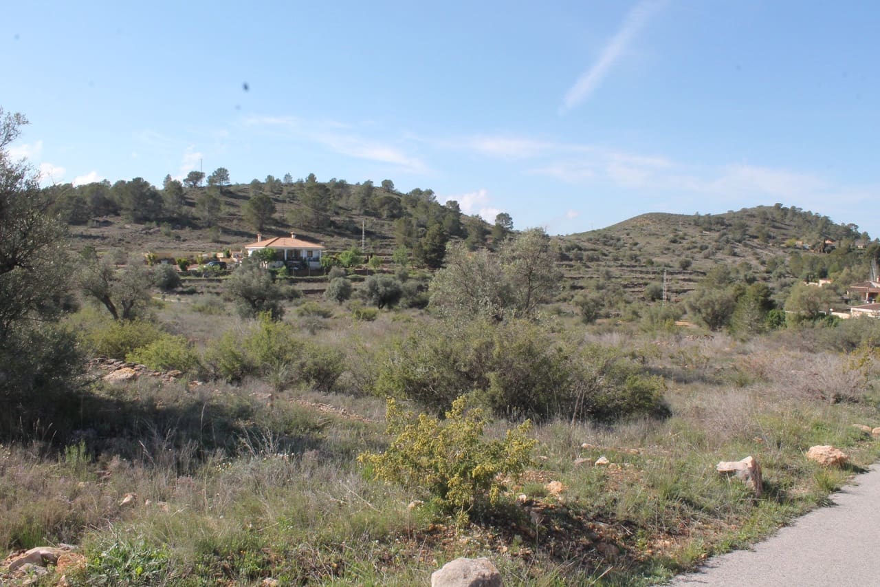 Undeveloped Land for sale in Hondon de las Nieves - € 12,200 (Ref: 9735914)