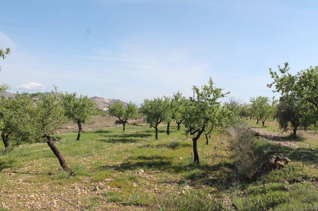 Terreno/Finca Rústica en Hondón de las Nieves en venta - 70.000 € (Ref: 9735933)
