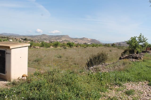 Terreno/Finca Rústica en Hondón de las Nieves en venta - 70.000 € (Ref: 9735933)