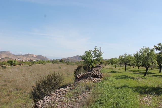 Terreno/Finca Rústica en Hondón de las Nieves en venta - 70.000 € (Ref: 9735933)