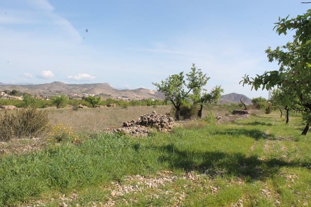 Terreno/Finca Rústica en Hondón de las Nieves en venta - 70.000 € (Ref: 9735933)