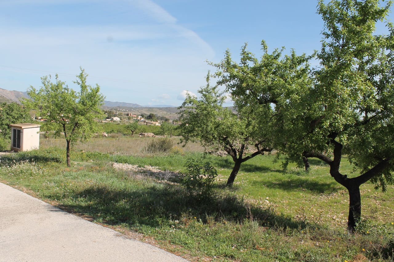 Grunde uden byggetilladelser til salg i Hondon de las Nieves - € 70.000 (Ref: 9735933)