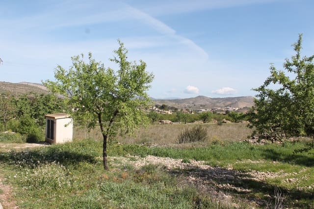 Terreno/Finca Rústica en Hondón de las Nieves en venta - 70.000 € (Ref: 9735933)