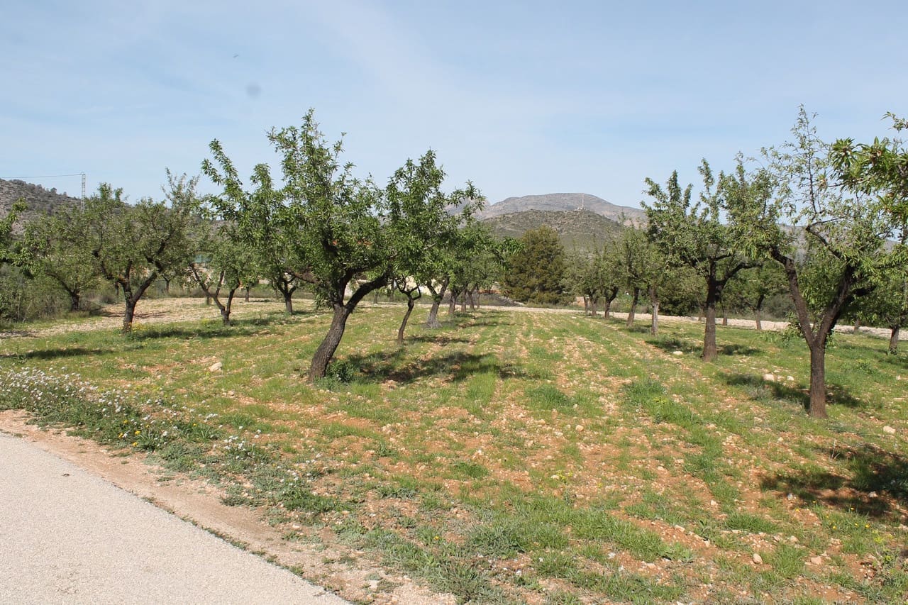 Undeveloped Land for sale in Hondon de las Nieves - € 13,000 (Ref: 9735935)