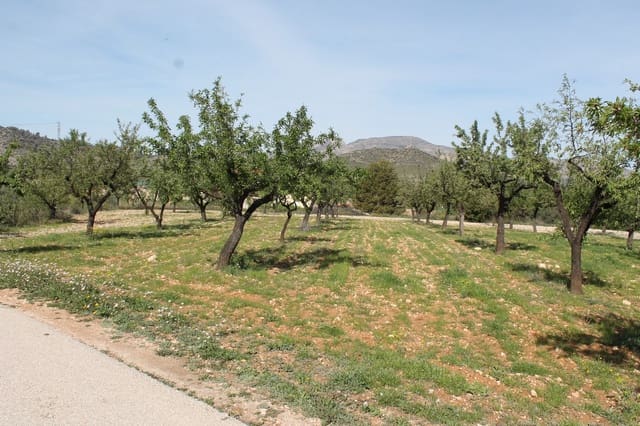 Terreno/Finca Rústica en Hondón de las Nieves en venta - 13.000 € (Ref: 9735935)