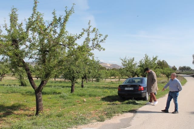 Terreno/Finca Rústica en Hondón de las Nieves en venta - 13.000 € (Ref: 9735935)