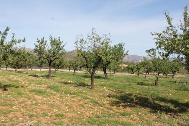Terreno/Finca Rústica en Hondón de las Nieves en venta - 13.000 € (Ref: 9735935)