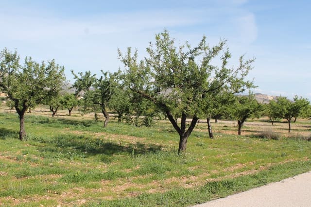 Terreno/Finca Rústica en Hondón de las Nieves en venta - 13.000 € (Ref: 9735935)