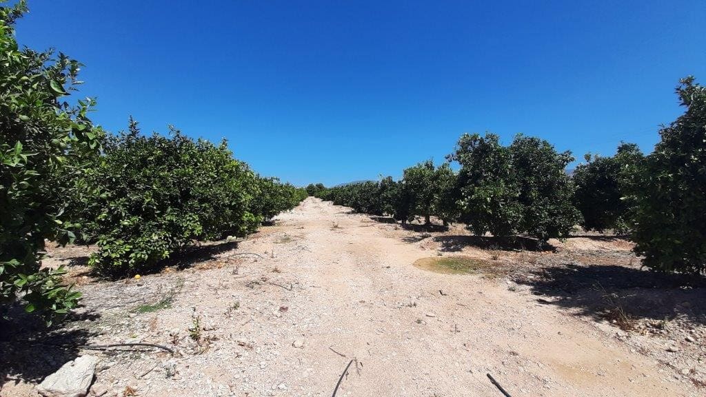 Byggegrund til salg i Alfaz del Pi / L'Alfas del Pi - € 630.000 (Ref: 6943500)