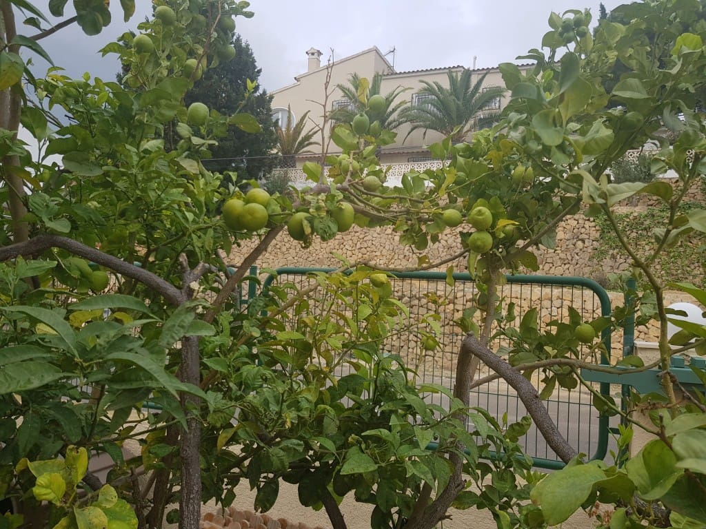 5 bedroom Villa for sale in Alfaz del Pi / L'Alfas del Pi with pool - € 550,000 (Ref: 7301243)