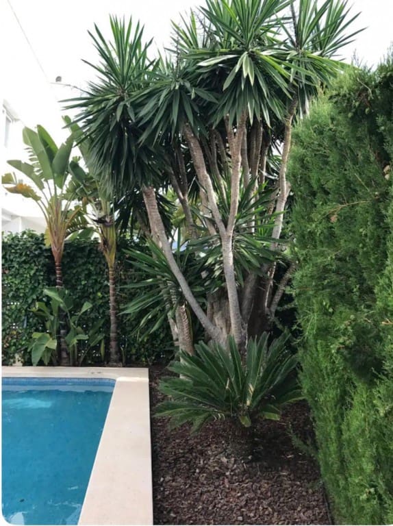 4 quarto Moradia para venda em Albir com piscina - 990 000 € (Ref: 8253163)