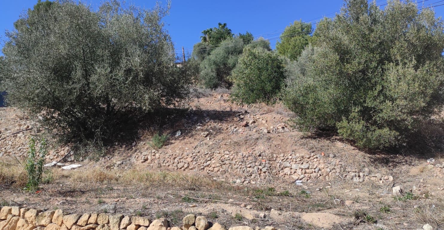 Tontti myytävänä paikassa Callosa d'En Sarria - 300 000 € (Ref: 9167476)