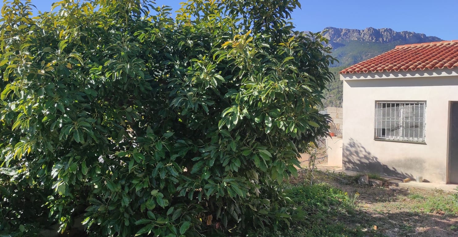 1 soveværelse Villa til salg i Callosa d'En Sarria - € 180.000 (Ref: 9167477)